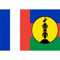 Bandiera Nuova Caledonia