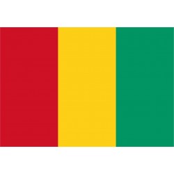Bandiera Guinea