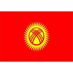 Bandiera Kirghizistan