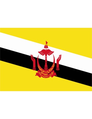 Bandiera Brunei