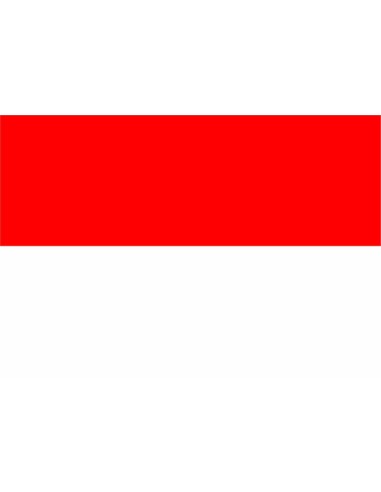 Bandiera Indonesia