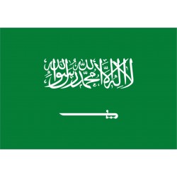 Bandiera Arabia Saudita