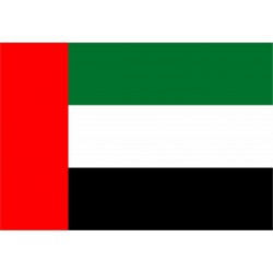 Bandiera Emirati Arabi Uniti