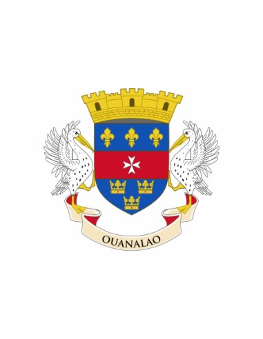Bandiera Saint-Barthélemy