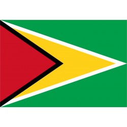 Bandiera Guyana