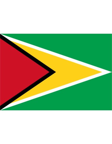 Bandiera Guyana