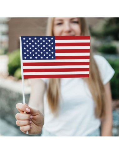 Bandierine da mano in Polipropilene