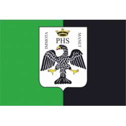 Bandiera Comune dell' Aquila