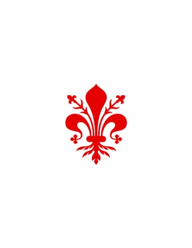 Bandiera Comune di Firenze