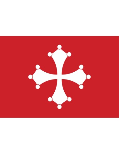 Bandiera Comune di Pisa