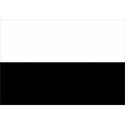 Bandiera Comune di Siena