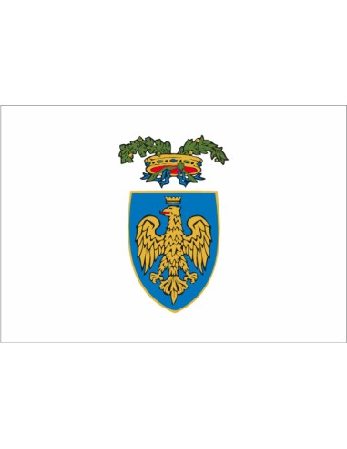 Bandiera Provincia di Udine