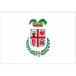 Bandiera Provincia di Varese