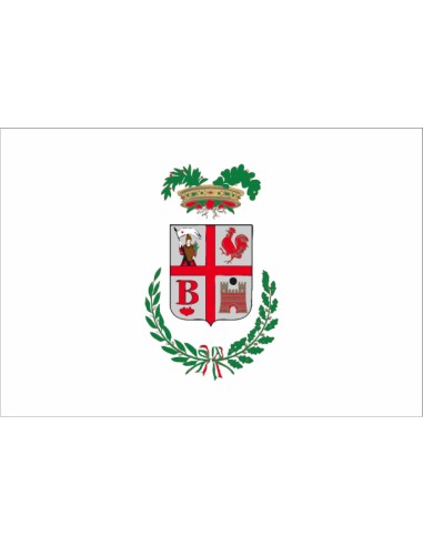 Bandiera Provincia di Varese