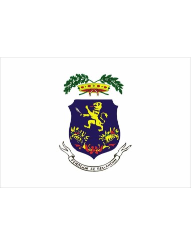 Bandiera Provincia di Frosinone