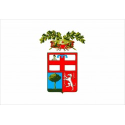 Bandiera Provincia di Mantova