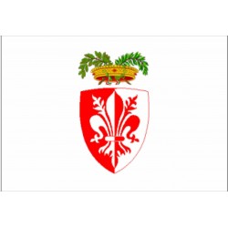 Bandiera Provincia di Firenze