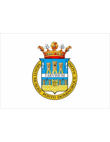 Bandiera Provincia di Treviso