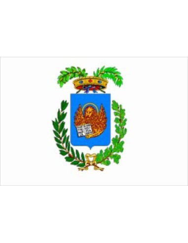 Bandiera Provincia di Venezia