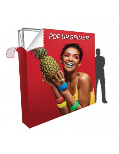 Pop UP Spider
