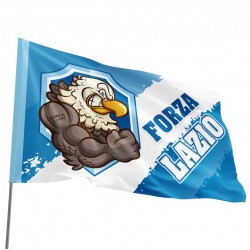 Bandiera Forza Lazio