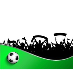 Bandiere da Stadio
